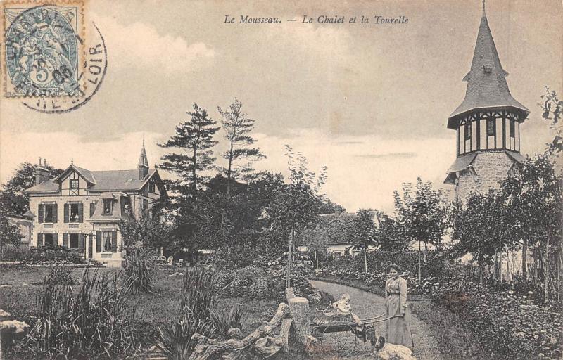 Carte postale ancienne Le Mousseau - Le Chalet Et La Tourelle