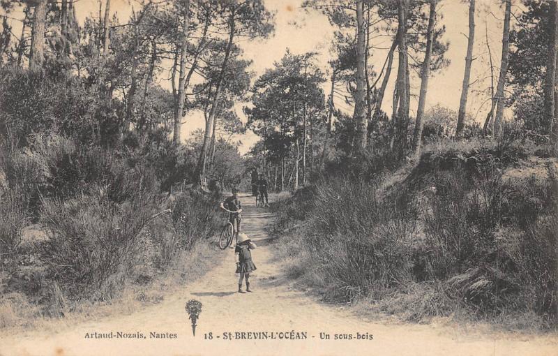 Carte postale ancienne Saint Brevin L'Ocean - Un Sous Bois