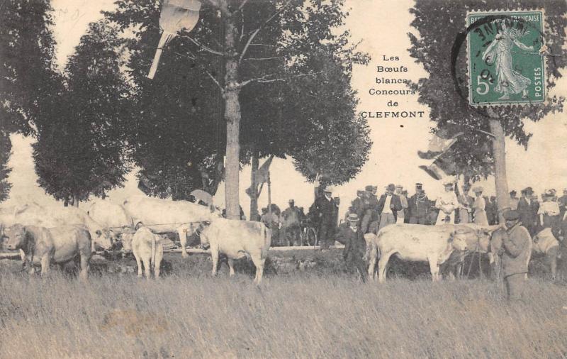Carte postale ancienne Les Boeufs Blancs - Concours De Clefmont à Clefmont