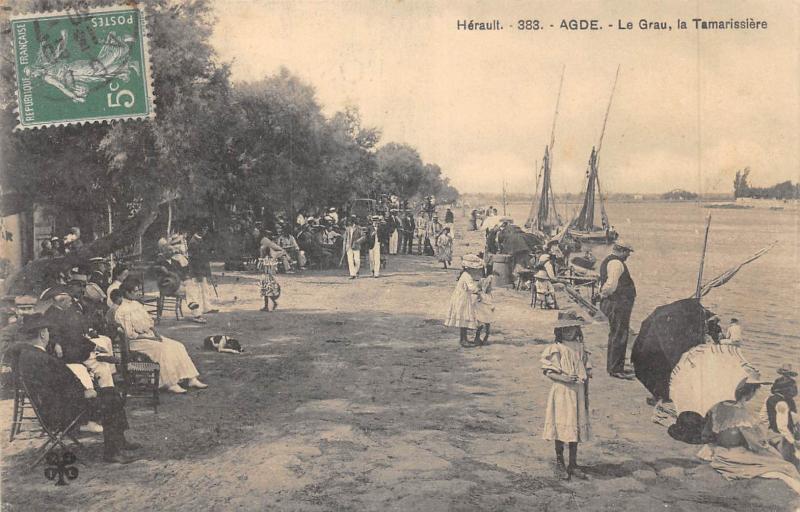 Carte postale ancienne Agde - Le Grau - La Tamarissiere à Agde