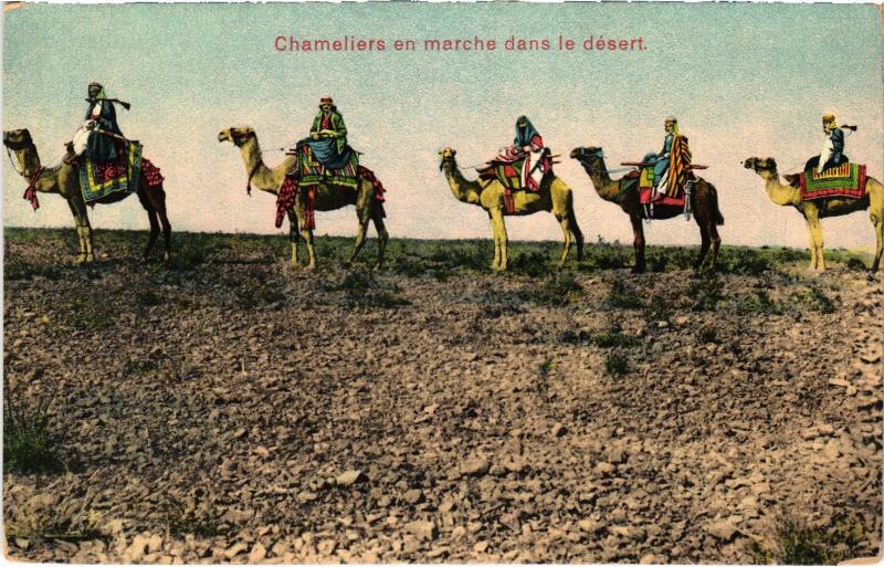 Carte postale ancienne Baalbeck chameliers en marche dans le desert Lebanon