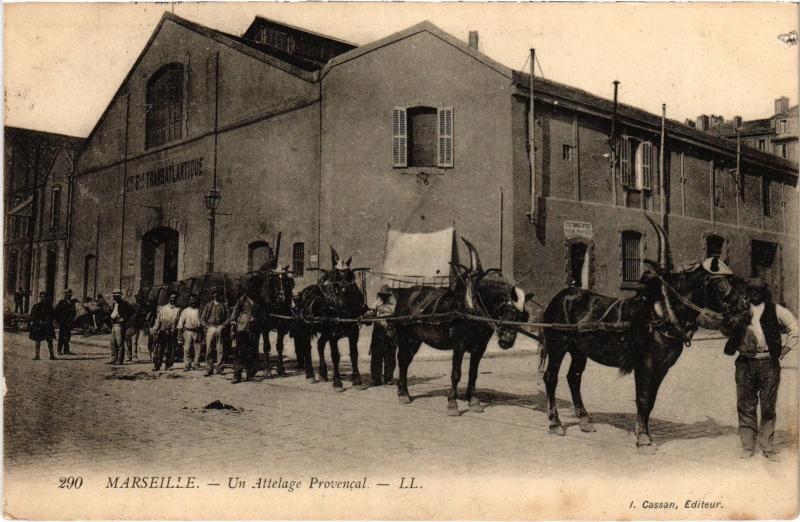 Carte postale ancienne Marseille un Attelage Provencal à Marseille