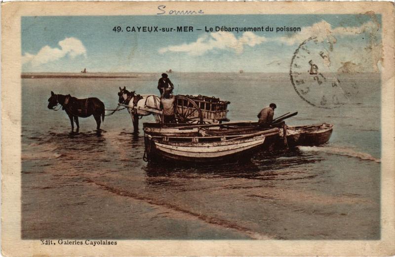 Carte postale ancienne Cayeux Debarquement du Poisson