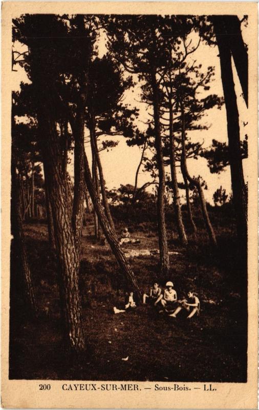 Carte postale ancienne Cayeux Sous Bois