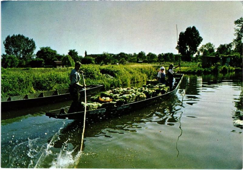 Carte postale ancienne Amiens les Hortillonnages à Amiens