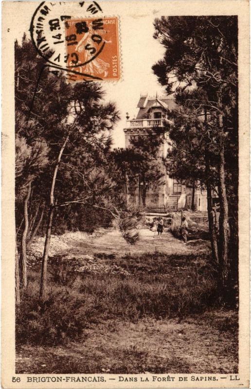 Carte postale ancienne Brighton dans la foret de sapins