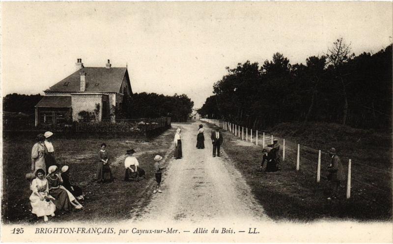 Carte postale ancienne Brighton Allee du Bois