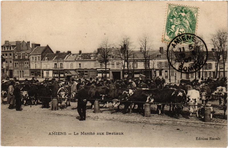 Carte postale ancienne Amiens le marche aux Bestiaux à Amiens