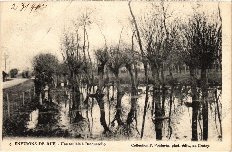 Carte postale ancienne Becquerelle une saulaie