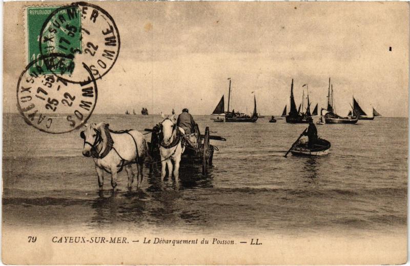 Carte postale ancienne Cayeux Debarquement du Poisson