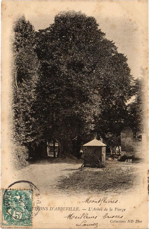 Carte postale ancienne Abbeville Arbre de la Vierge à Abbeville