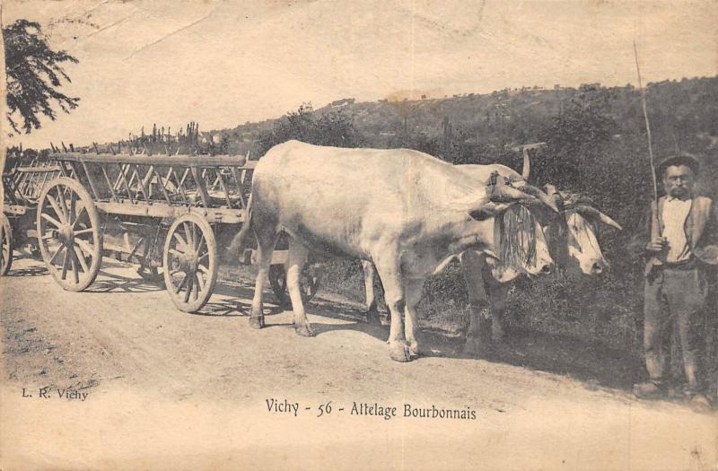 Carte postale ancienne Vichy - Attelage Bourbonnais à Vichy