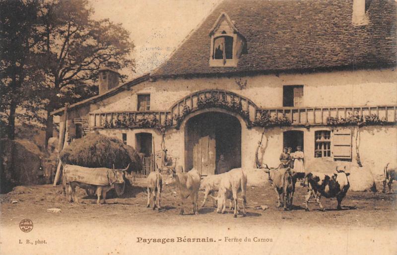 Carte postale ancienne Paysages Bearnais - Ferme Du Camou