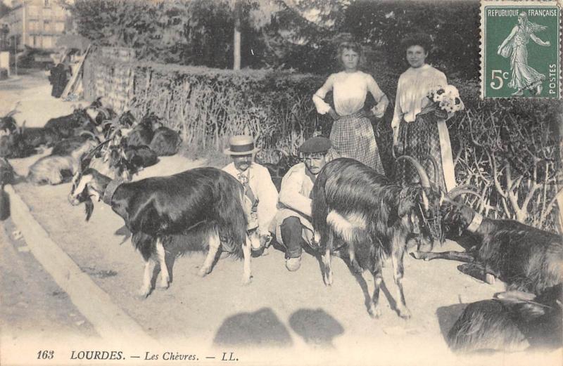Carte postale ancienne Lourdes - Les Chevres à Lourdes