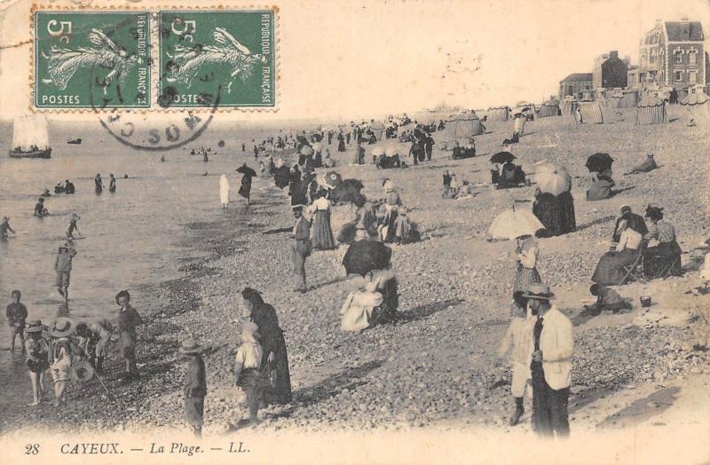 Carte postale ancienne Cayeux - La Plage