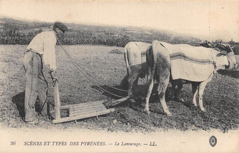 Carte postale ancienne Scenes Et Types Des Pyrenees - Le Labourage