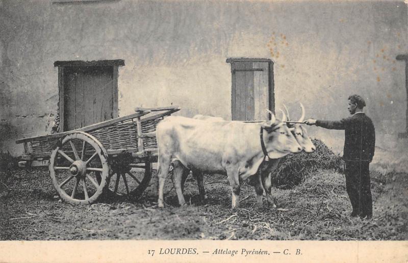 Carte postale ancienne Lourdes - Attelage Pyreneen à Lourdes