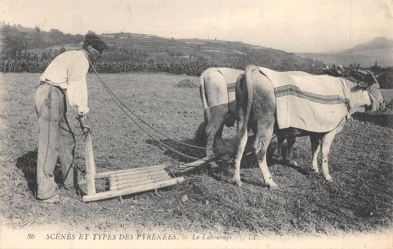 Carte postale ancienne Scenes Et Types Des Pyrenees - Le Labourage