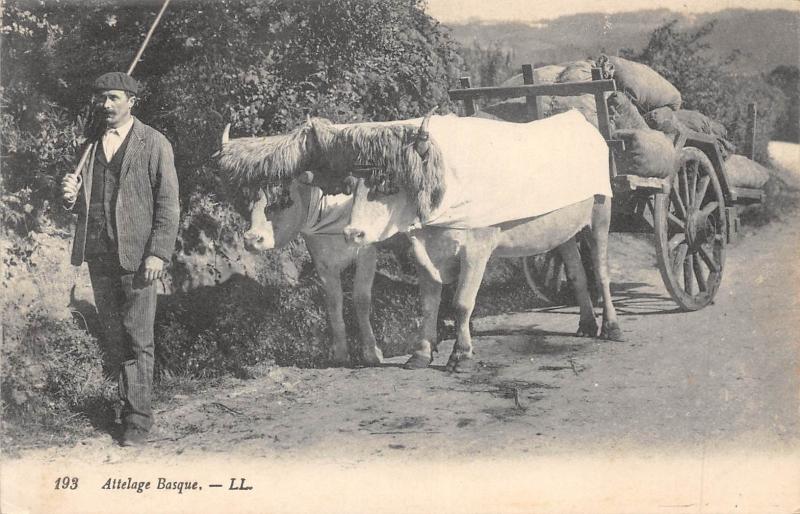 Carte postale ancienne Attelage Basque