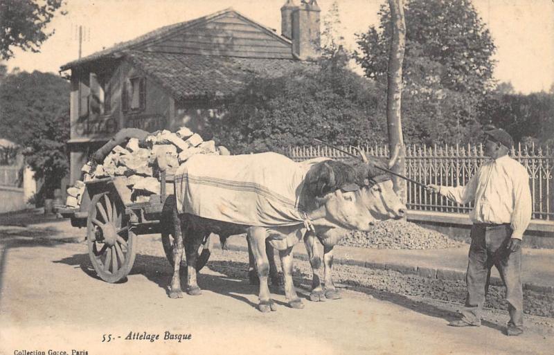 Carte postale ancienne Attelage Basque
