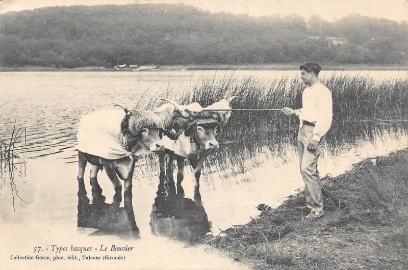 Carte postale ancienne Types Basques - Le Bouvier