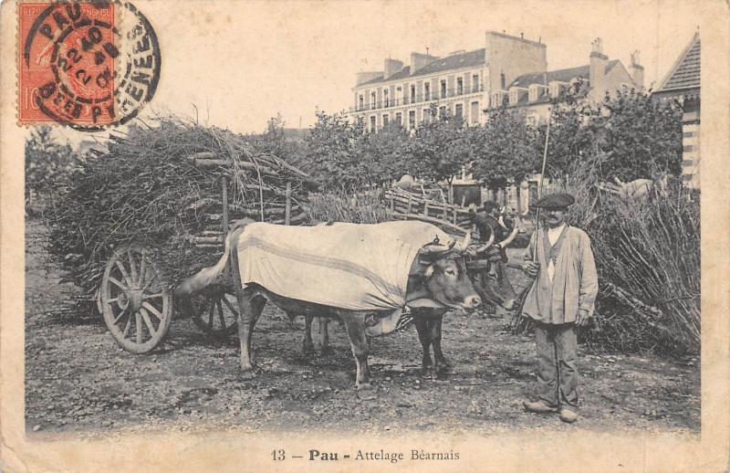Carte postale ancienne Pau - Attelage Bearnais à Pau