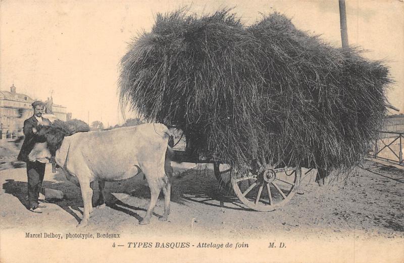 Carte postale ancienne Types Basques - Attelage De Foin