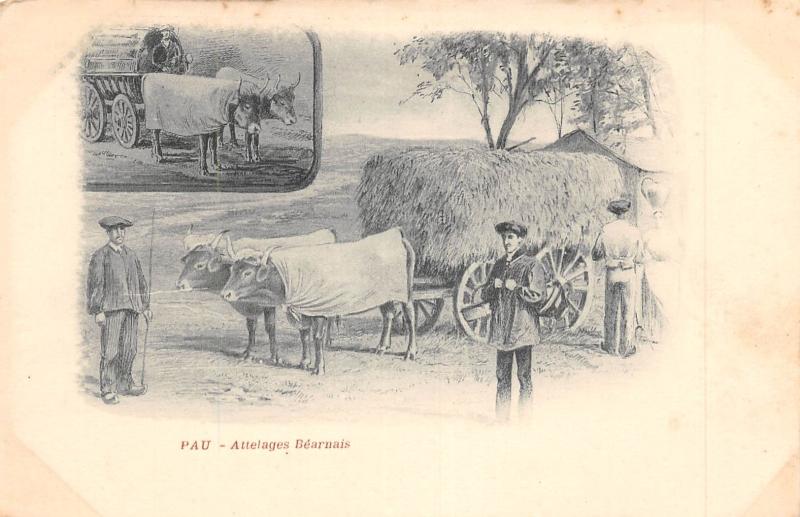 Carte postale ancienne Pau - Attelages Bearnais à Pau