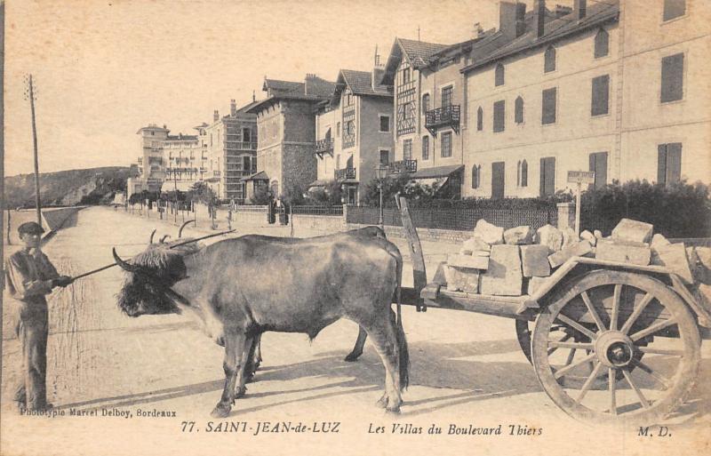 Carte postale ancienne Saint Jean De Luz - Les Villas Du Boulevard Thiers à Saint-Jean-de-Luz