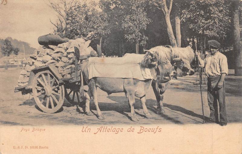 Carte postale ancienne Pays Basque - Un Attelage De Boeufs