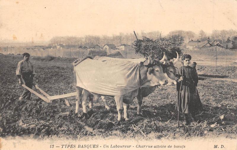 Carte postale ancienne Types Basques - Un Laboureur - Charrue Attelee De Boeufs