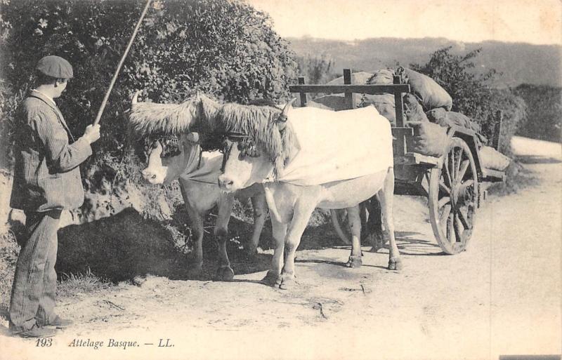 Carte postale ancienne Attelage Basque