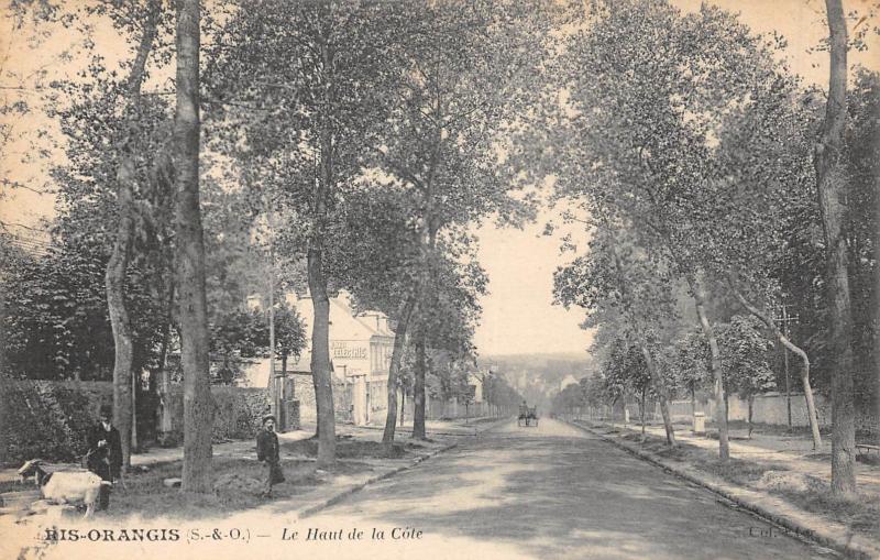 Carte postale ancienne Ris Orangis - Le Haut De La Cote à Ris-Orangis