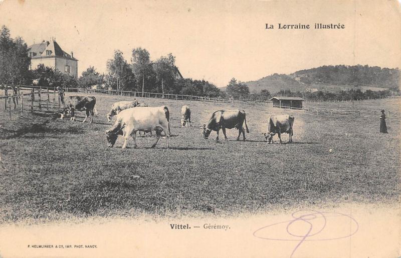 Carte postale ancienne Vittel - Geremoy à Vittel