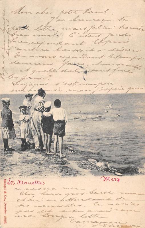 Carte postale ancienne Mers - Les Mouettes