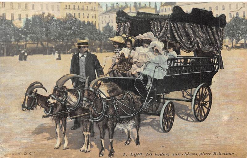 Carte postale ancienne Lyon - La Voiture Aux Chevres - Place Bellecour à Lyon