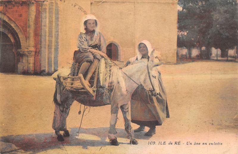 Carte postale ancienne Ile De Re - Un Ane En Culotte