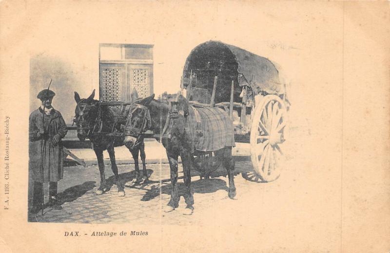 Carte postale ancienne Dax - Attelage De Mules à Dax