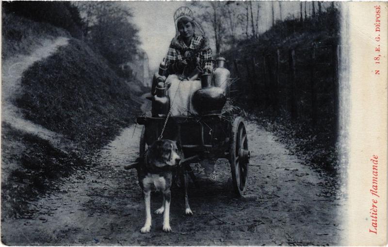 Carte postale ancienne Dogs