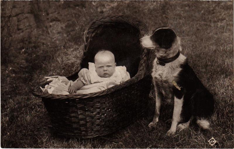 Carte postale ancienne Dogs
