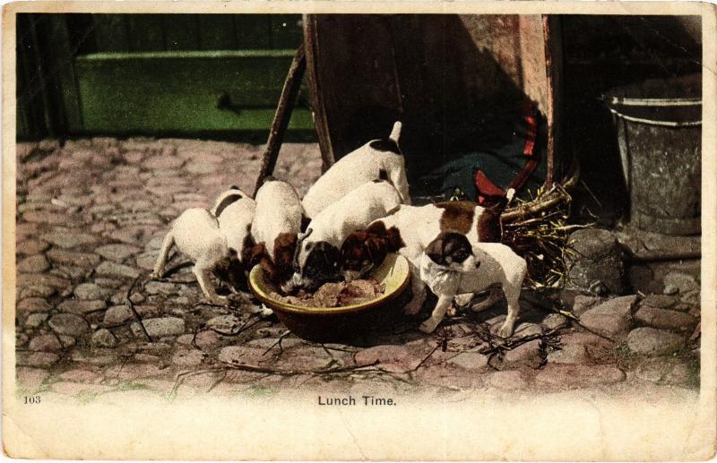 Carte postale ancienne Lunch time Dogs