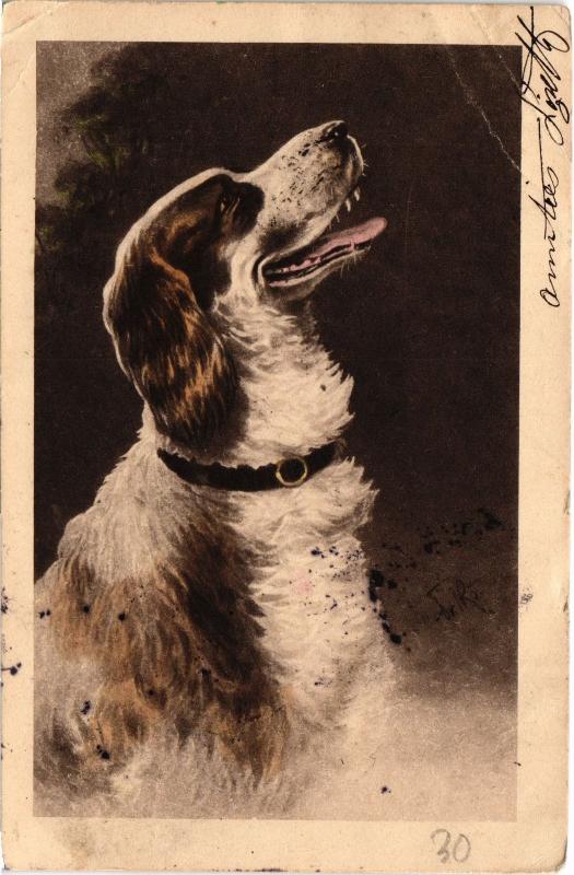 Carte postale ancienne Dogs