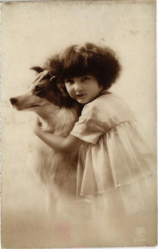Carte postale ancienne Dogs