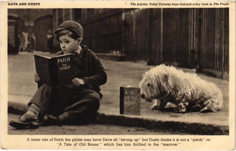 Carte postale ancienne Dogs