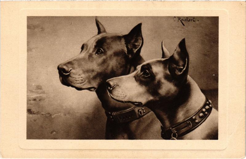 Carte postale ancienne Dogs