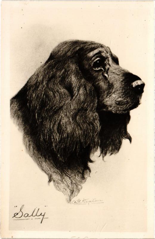 Carte postale ancienne Dogs