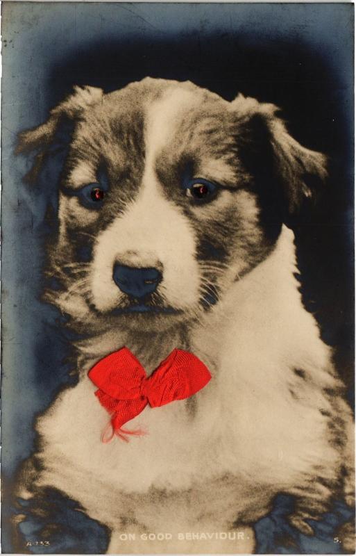 Carte postale ancienne On good behaviour Dogs