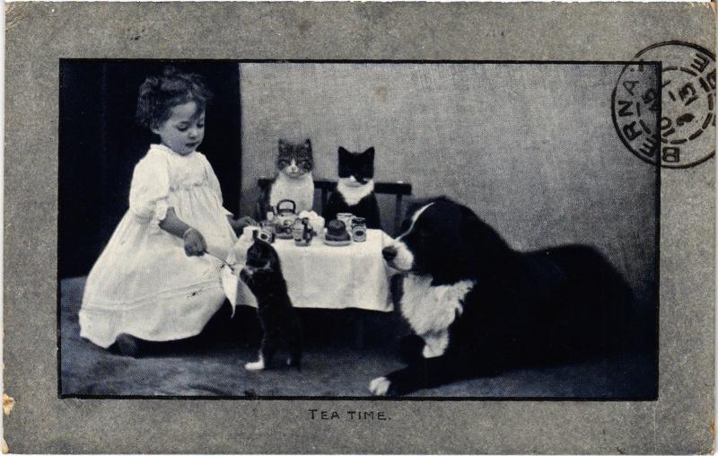 Carte postale ancienne Tea time Dogs