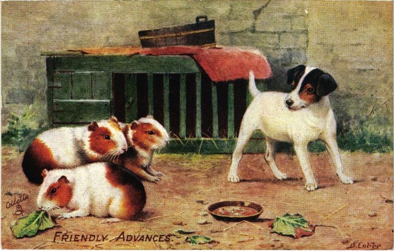 Carte postale ancienne Friendly Advances Dogs