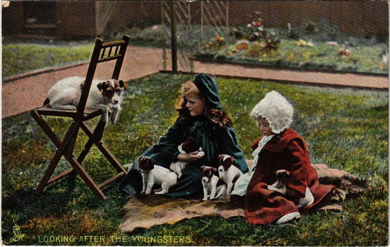 Carte postale ancienne Looking after the youngsters Dogs